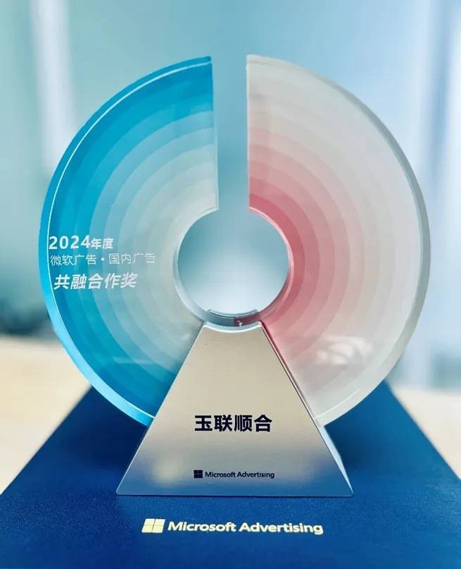 微软 Bing 广告获奖案例 2